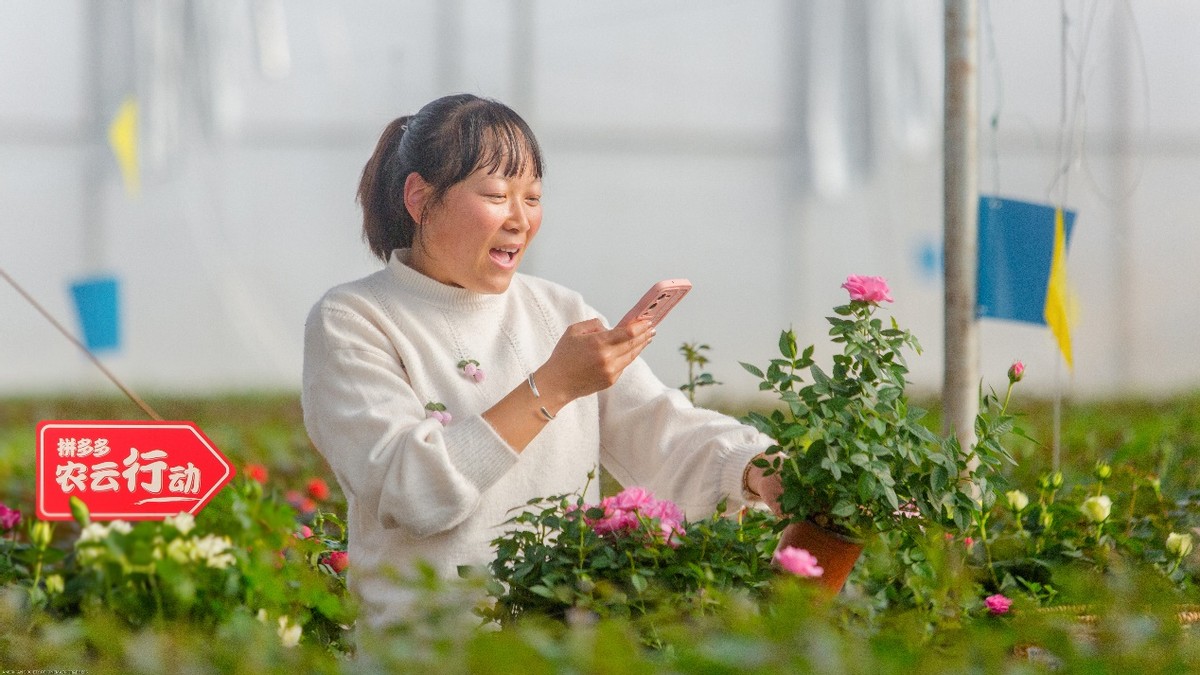 百家樂:拼多多2022年研發費用破百億,重投辳業科技,滿足用戶品質需求