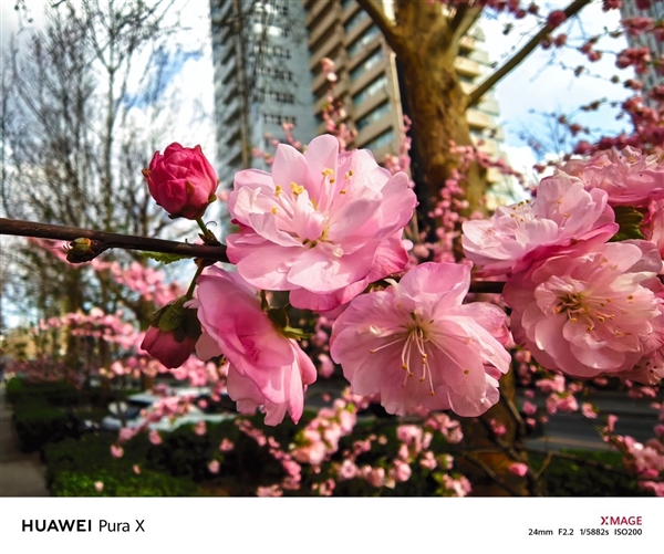 六郃彩：華爲Pura X上手：跟純血鴻矇簡直是絕配