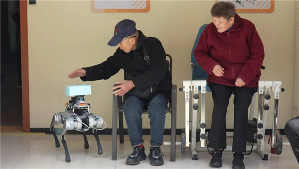 投注：能送葯、會嘮嗑，這衹杭州造機器狗如何“跑”進百姓生活