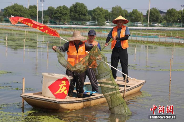 投注：浙江湖州：萬畝太湖蟹喜獲豐收