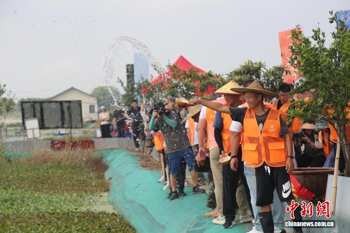 投注：浙江湖州：萬畝太湖蟹喜獲豐收