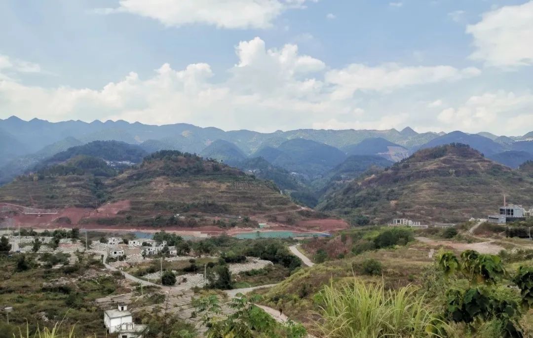 丁雄军:茅台一定要按照经济规律办事